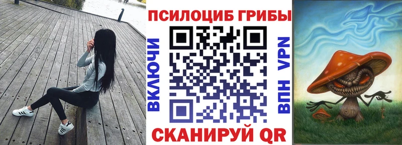 Галлюциногенные грибы Cubensis  Цивильск 